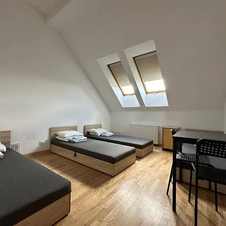 Shiba Gdansk