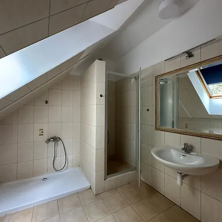 Shiba Homestay Gdansk
